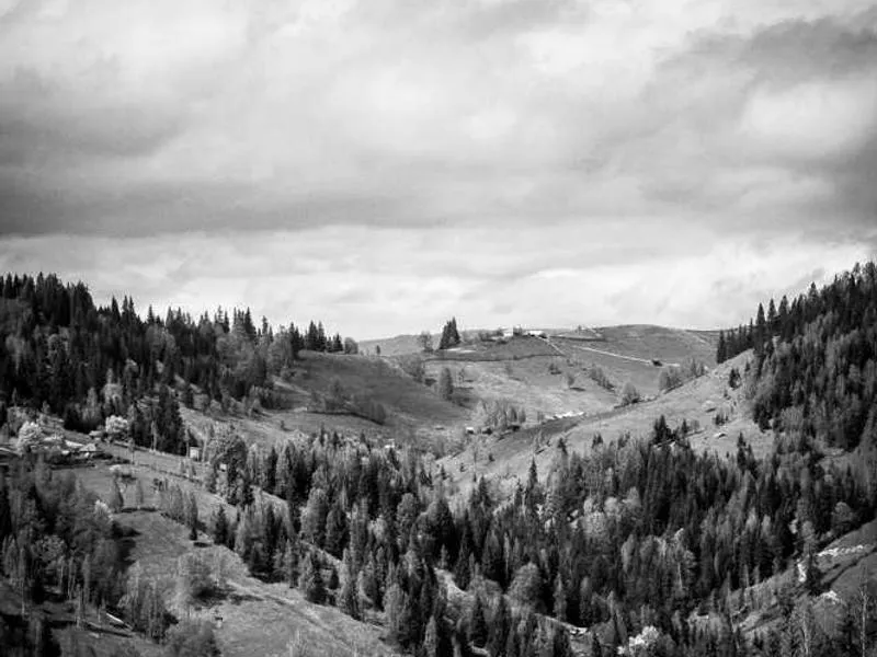 Research Collaboration